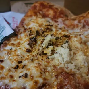 Delicious cheese pizza
