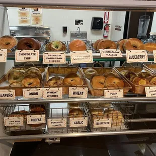 Various Types of Bagels to choose from