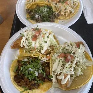 Combo Plate 1-3 large tacos with drink Fish, Shrimp and Pastor Asada, Fish and Shrimp