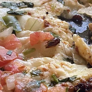 pizza, food