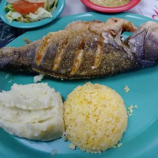 Another view of my fried Black Bass.