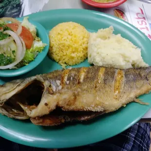 Black bass, fried, with rice, and potatoes.