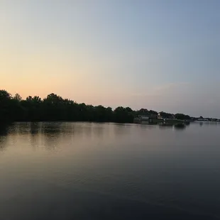 Mahi, shrimp, and scallops with avocado salad - fresh and delicious!
