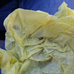 There was a dead bug in the wrapping of the burrito.