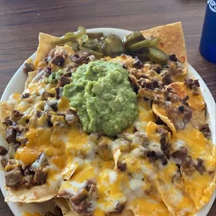 nachos with asada.