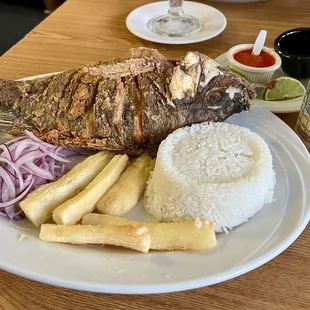 Señor Rocoto