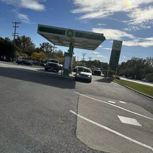 Yay! The new home to Señor Sombrero!