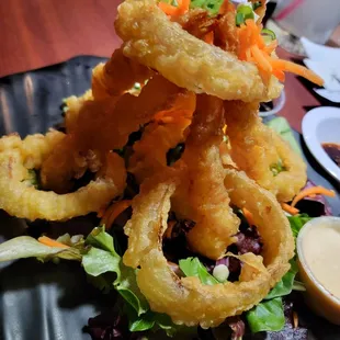 a pile of onion rings on a plate