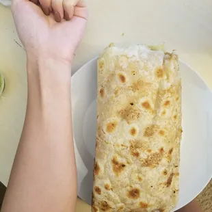 Massive veggie burrito. Arm for scale!