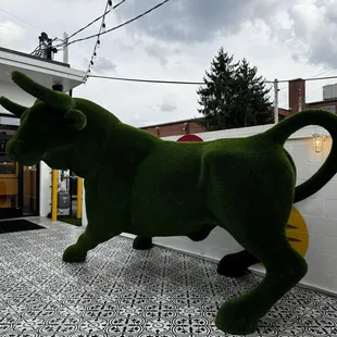 Entrance bull to great you.