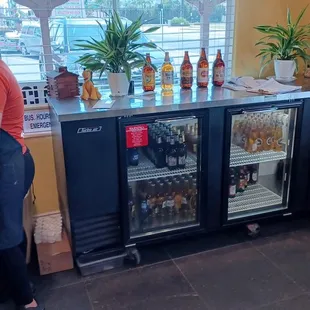 Very Large Variety of Mexican Beer Types