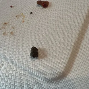 Rock from my Quesadilla Dinner