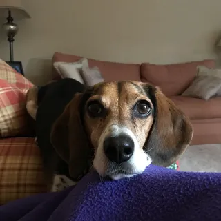 Morgan M.