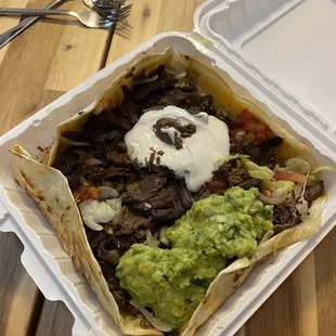 This is supposed to be a quesadilla.. you tell me..