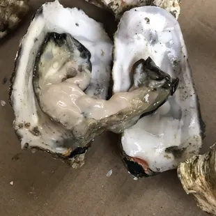 WARNING!SELLING DEAD OYSTERS.I bought a big box/60 pieces of oysters and could only eat 3 out of 60. They were mostly death and smeelly.