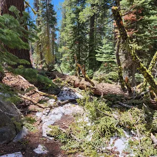 May 2024 - snowmelt continues