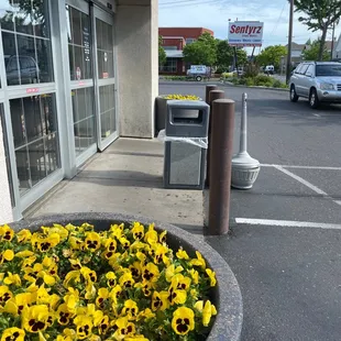 a flower bed in front of a store