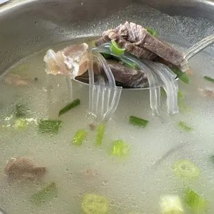 Beef Tendon