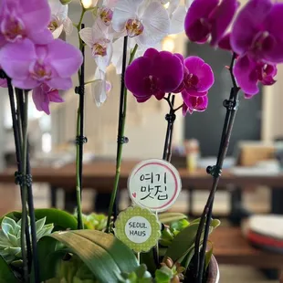 a variety of flowers in a pot