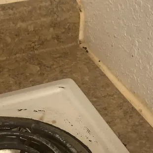 Poop on counter, stove was filthy couldnt even use it.