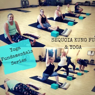 Yoga Fundamental Series | build the basics to start your practice