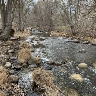The creek that runs the length of the property and beyond.