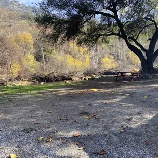 River front campsite. #55