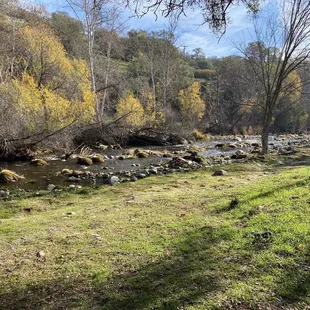The river in front of site 55.