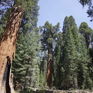 About 30 to 45 minutes away from General Sherman.