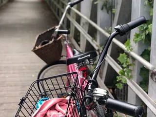 Francis Beach Campground