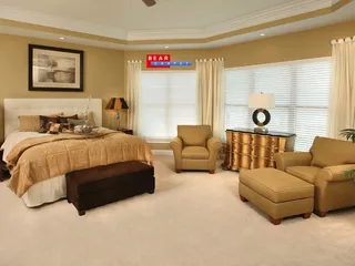 Bear Carpet