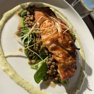Grilled Fresh Faroe Island Salmon
