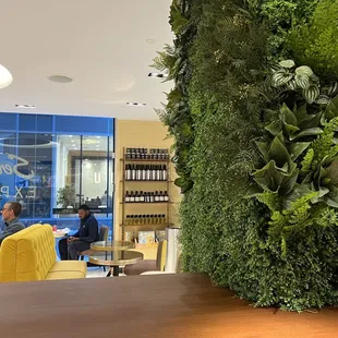 Lots of nice floral and greenery, also sell olive oil and balsamic vinegar