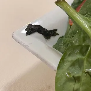 Black lettuce at fine dining restraunt.