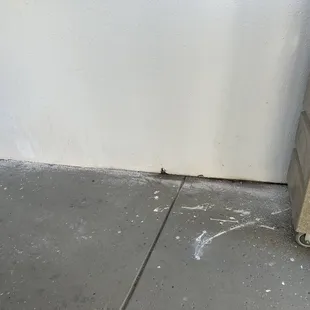 Right outside of of our building