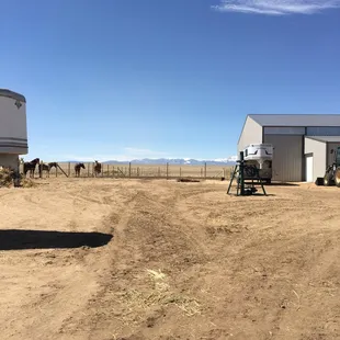 Horses are turned out daily in various pens. Nice for the horses to not be in a box stall all day.