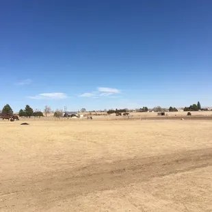 Huge area to ride! Round pen fenced arena too!