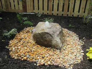 Aspen Lawn & Pest Control