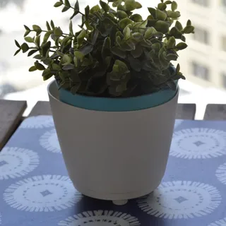 April M.