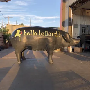 Hello Ballard!