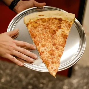 Seriously huge cheese pizza slice- bigger than your hand!