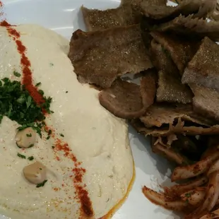 Gyro Plate