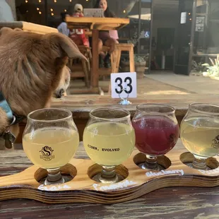 a dog looking at a flight of ciders