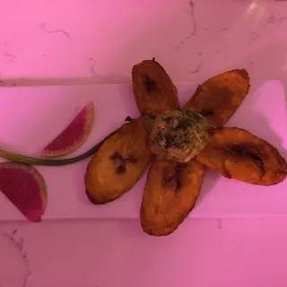 Desi Y.