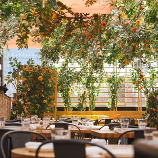 sushi and sashimi, outside