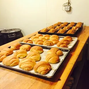 Freshly baked every day