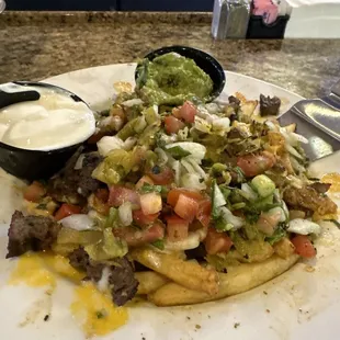 Carne Asada fries