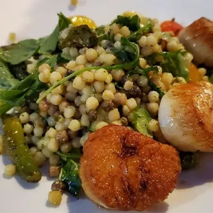 Scallops $28