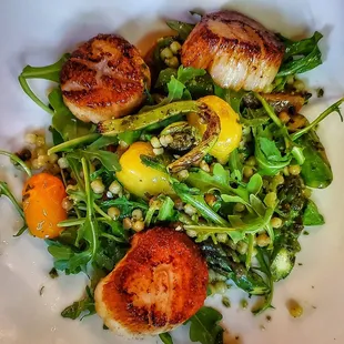 Seared sea scallops