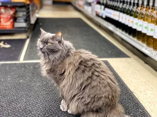 George’s Market